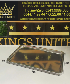 Khay bày đồ ăn chữ nhật nông Mẫu 3 (50x35x2cm)