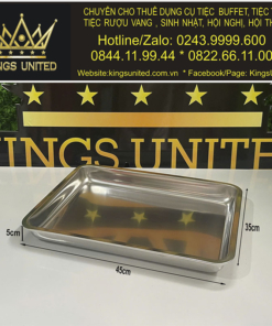 Khay bày đồ ăn chữ nhật size nhỡ Mẫu 2 (45x35x5cm)