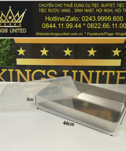 Khay bày đồ ăn chữ nhật size nhỡ Mẫu 2 (44x30x6cm)